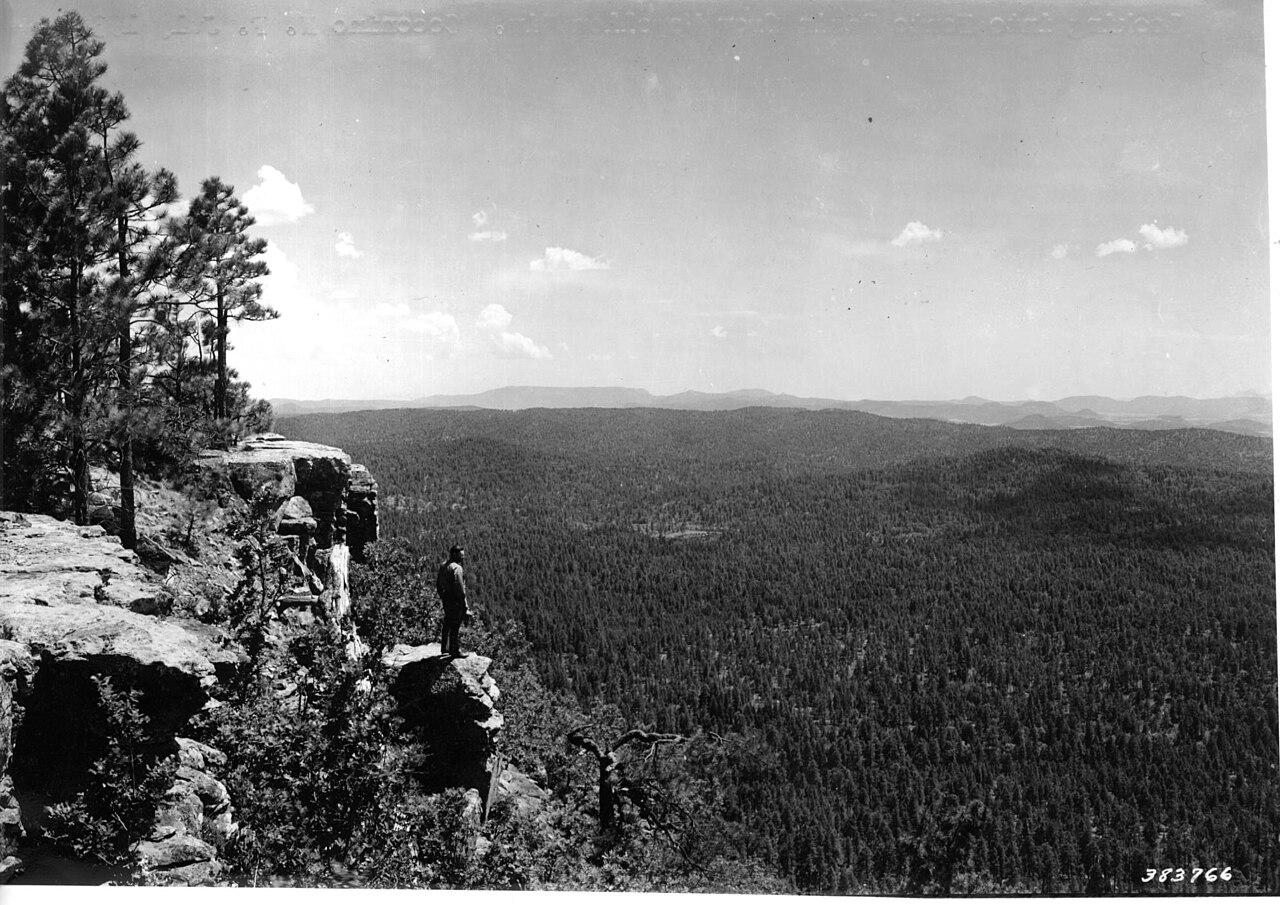 Mogollon Rim -1939 (5375577293), illustrative activity photo