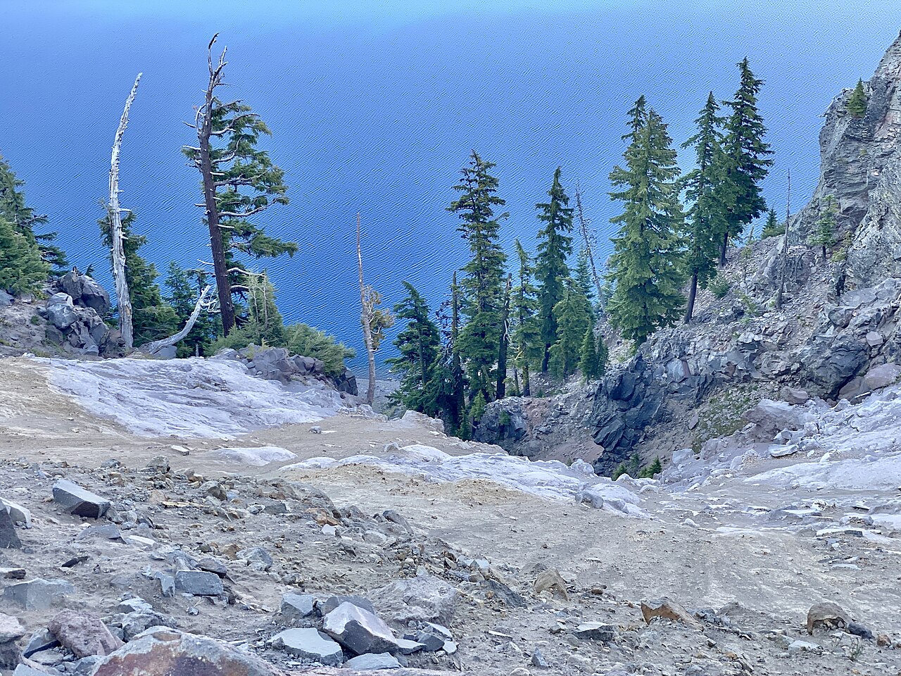 Trees, Crater Lake National Park, Crater Lake, OR - 53849395944, illustrative activity photo