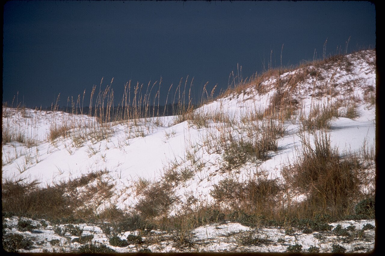 Gulf Islands National Seashore GUIS1791, illustrative activity photo