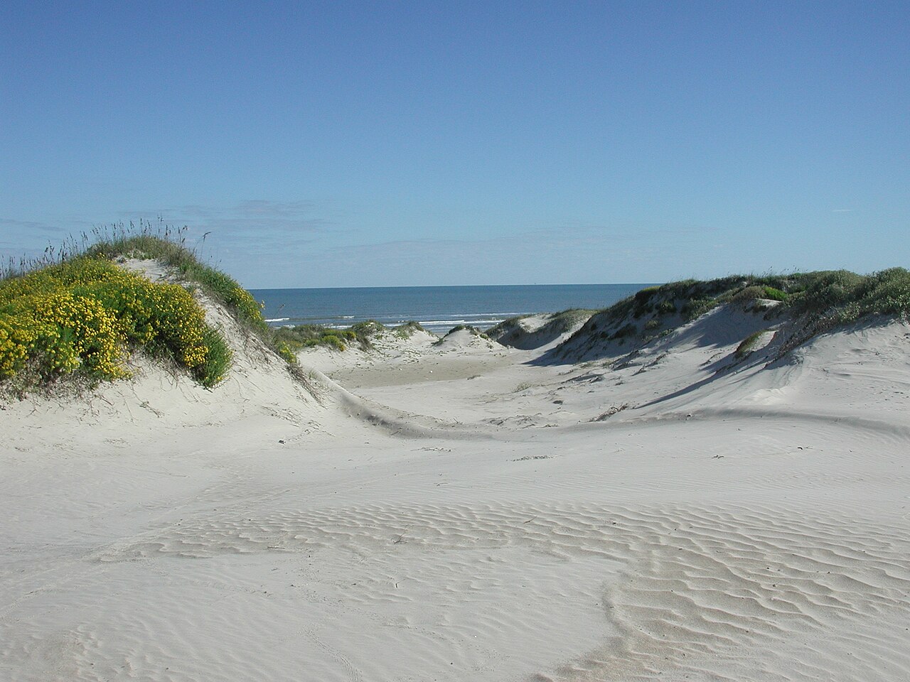 Padre Island National Seashore - sand dunes3, illustrative activity photo