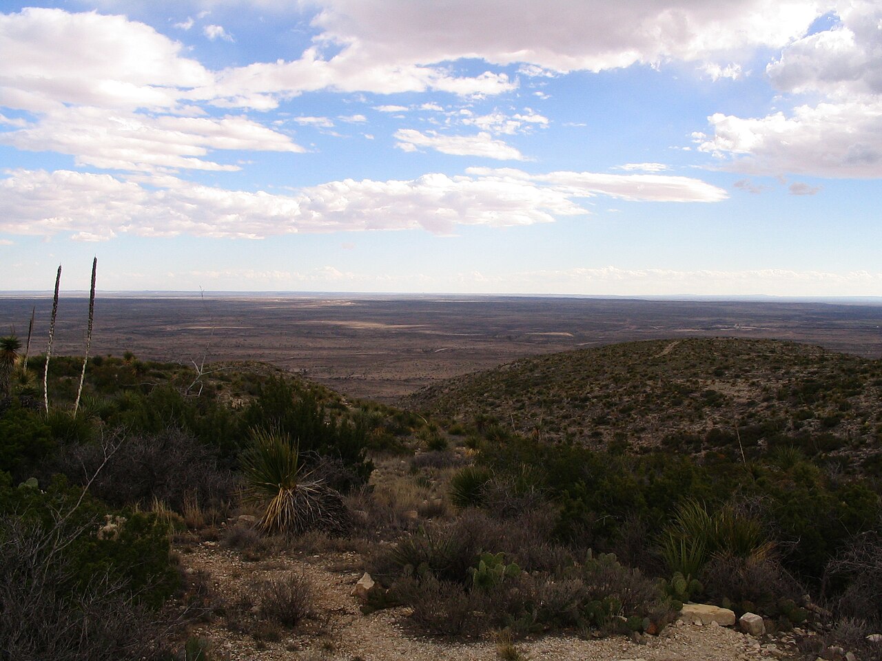 View from Visitors Center, Carlsbad Caverns National Park, Near Carlsbad, New Mexico, illustrative activity photo