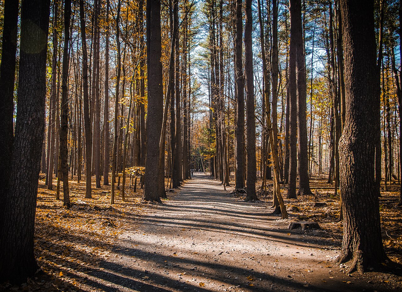 Saratoga Spa State Park, illustrative activity photo