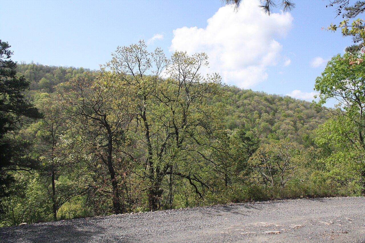 Strawberry Mountain in Ouachita National Forest, illustrative activity photo