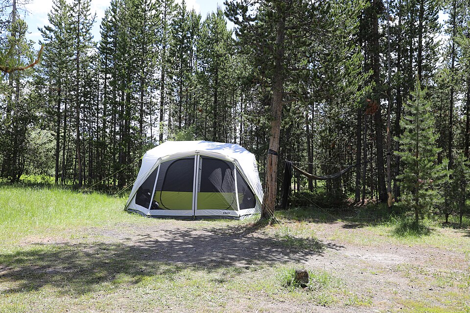 A tent and hammock in a campsite 3W6A3668 (53056105480), illustrative photo
