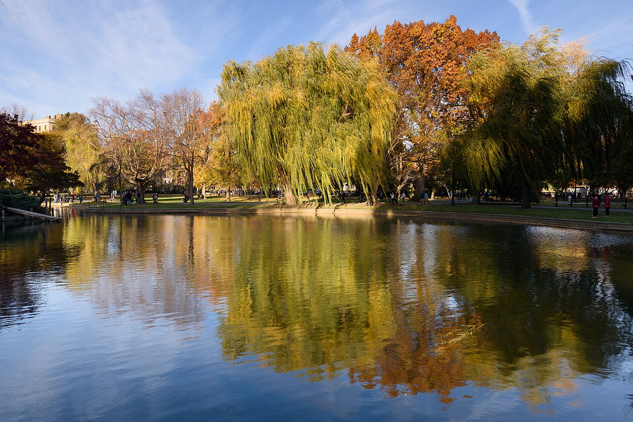 Boston Public Garden November 2016 001, illustrative activity photo