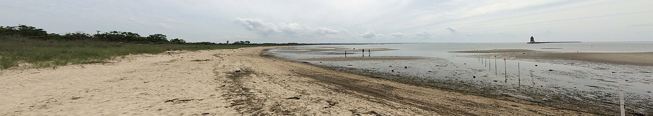 Panoramic View of the Delaware Bay at Cape Henlopen State Park, illustrative photo