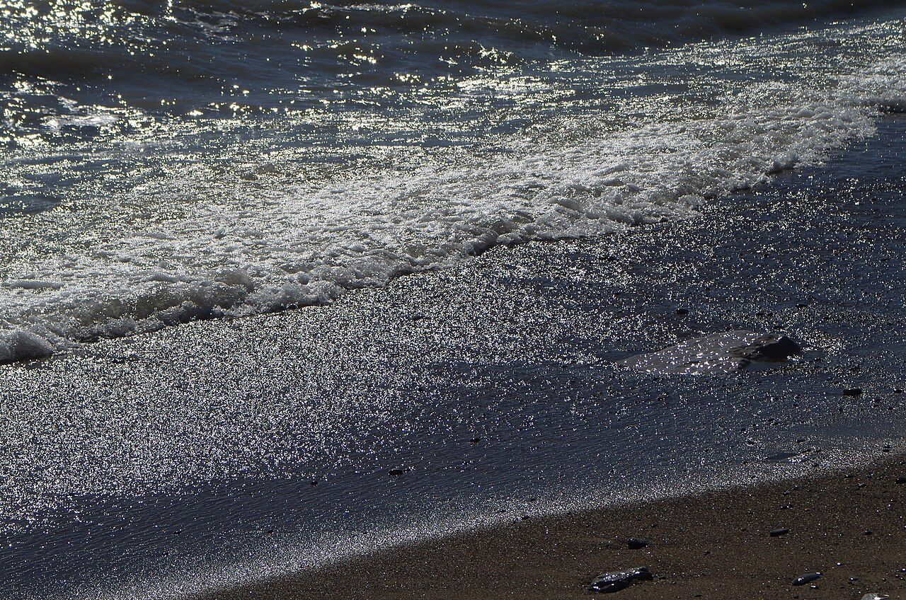 Illinois Beach State Park - 16964864471, illustrative photo