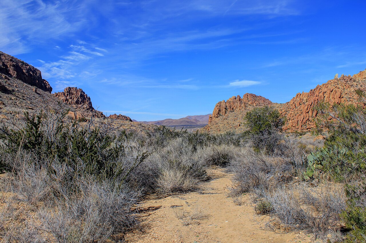 Gfp-texas-big-bend-national-park-shrubland-and-canyons, illustrative activity photo
