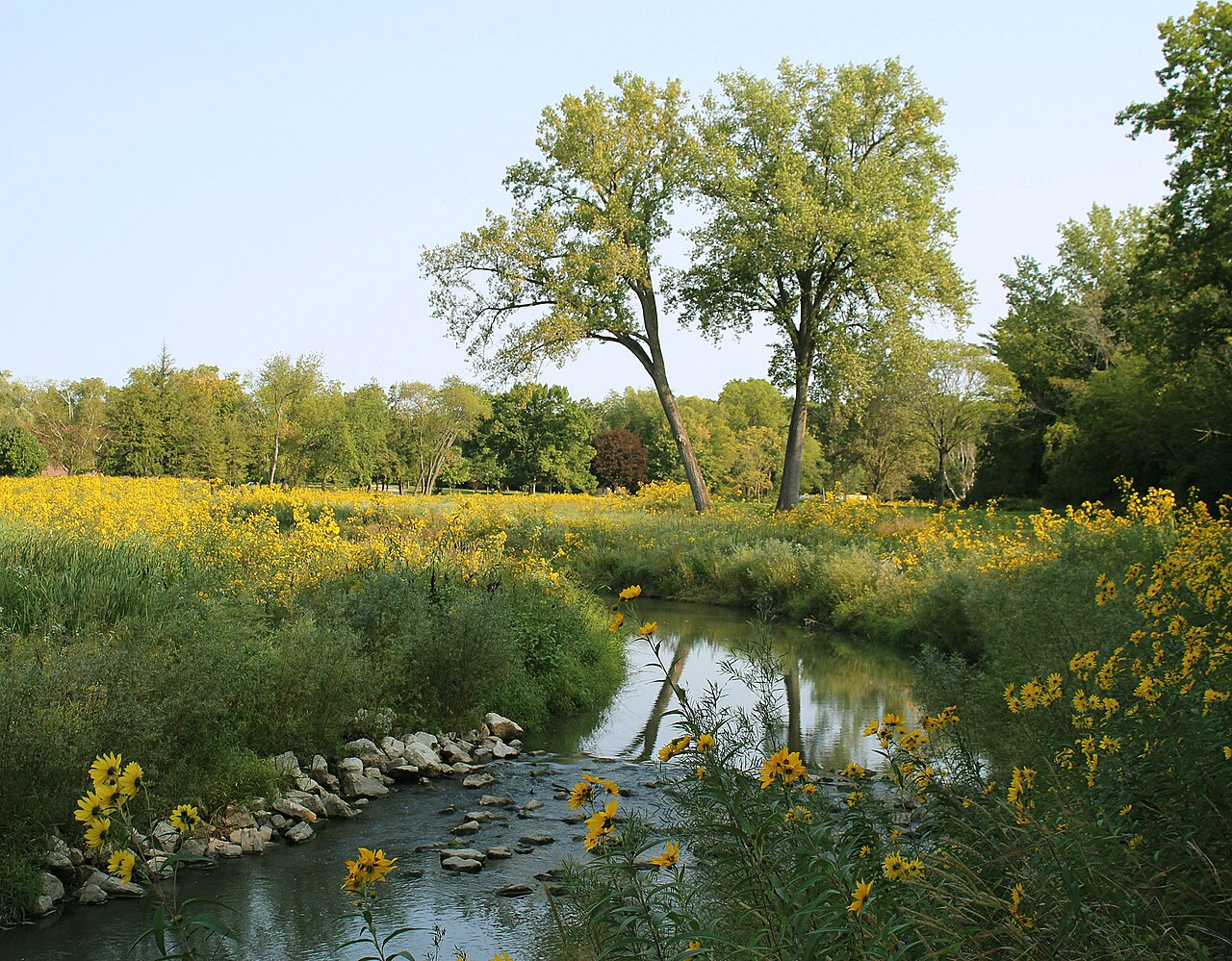Lake George Canal (51884108249), illustrative activity photo