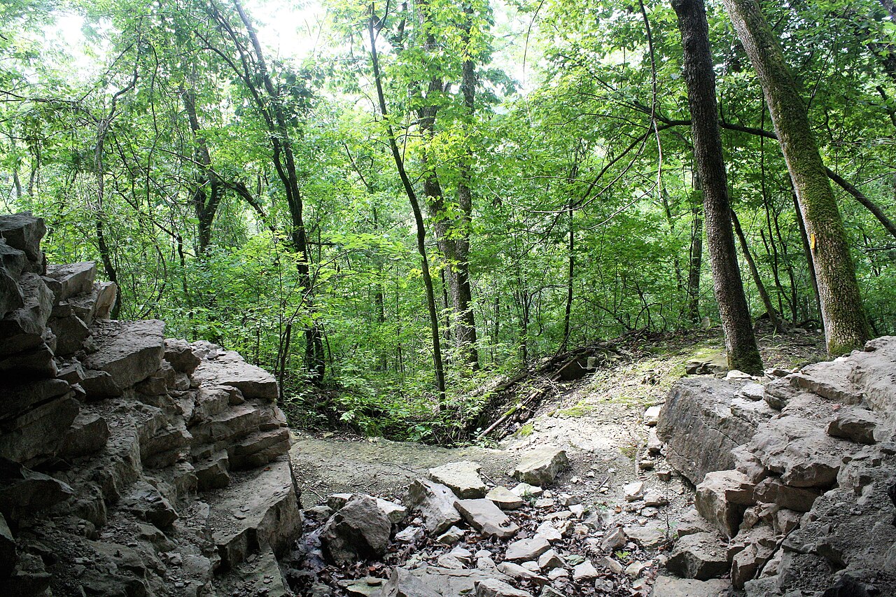 Looking out into the Ozark forest from the Bluff Shelter, illustrative activity photo
