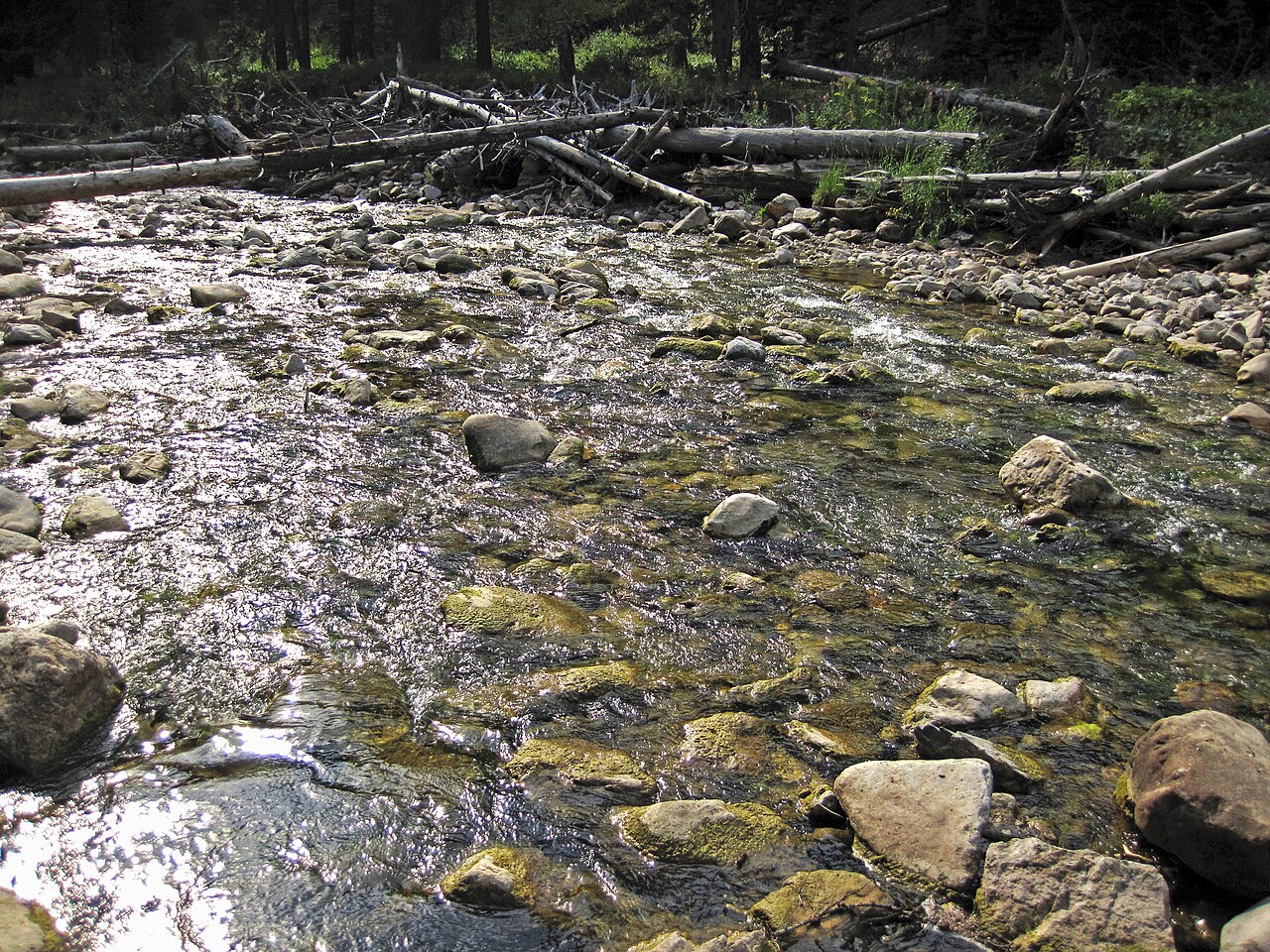 Cabin Creek (Gallatin National Forest, Gallatin County, Montana, USA) 26 (31295486318), illustrative activity photo