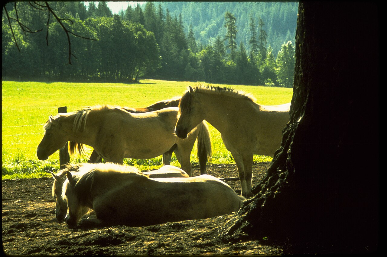 Lake Chelan National Recreation Area LACH8156, illustrative activity photo