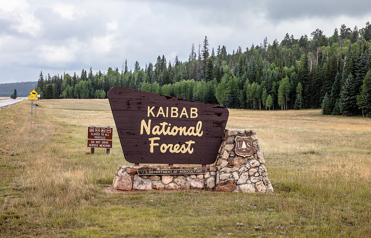 Kaibab National Forest, illustrative activity photo