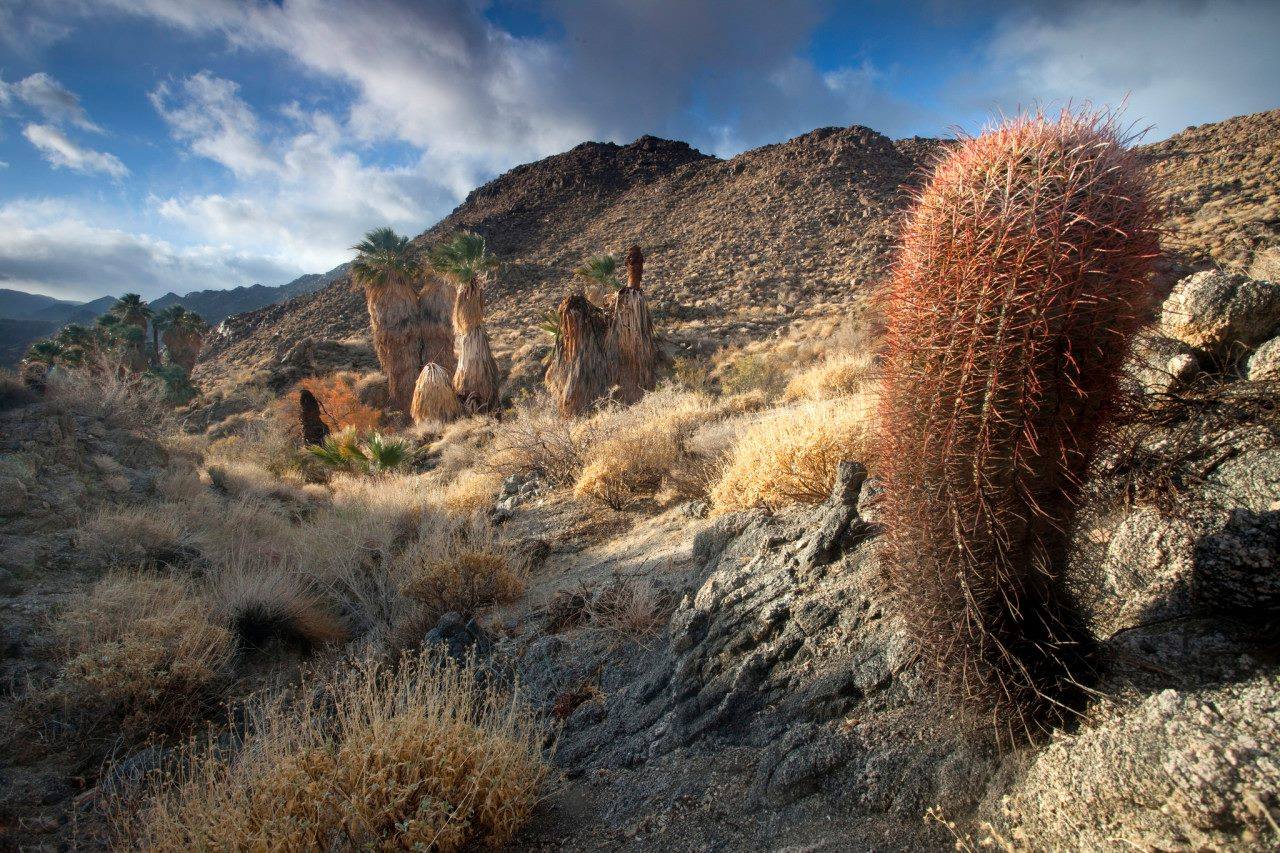 Santa Rosa and San Jacinto Mountains National Monument BLM, illustrative activity photo