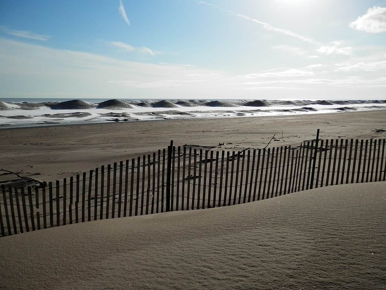 Lake Erie Shore, illustrative activity photo