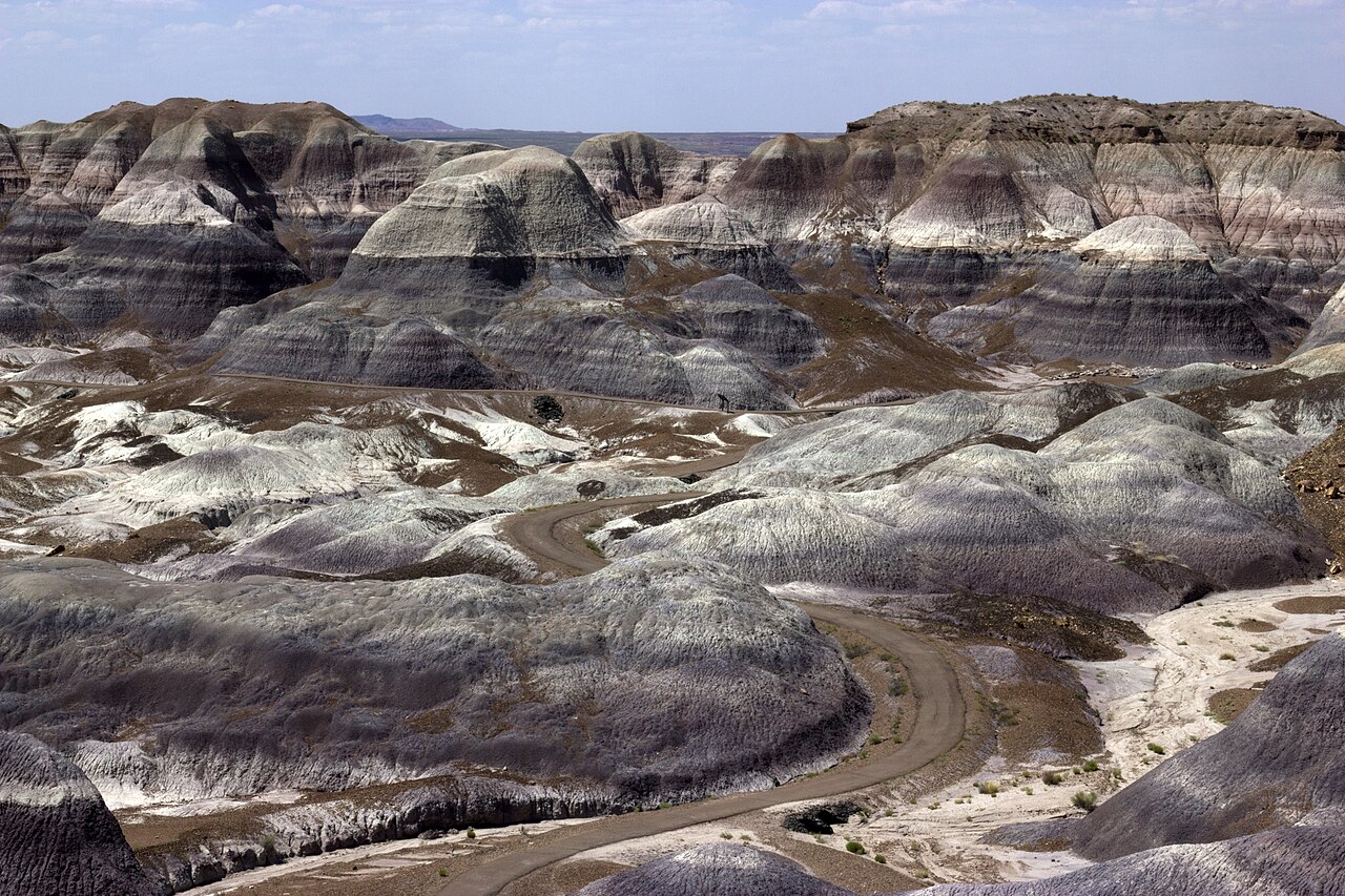 Petrified Forest 03, illustrative activity photo