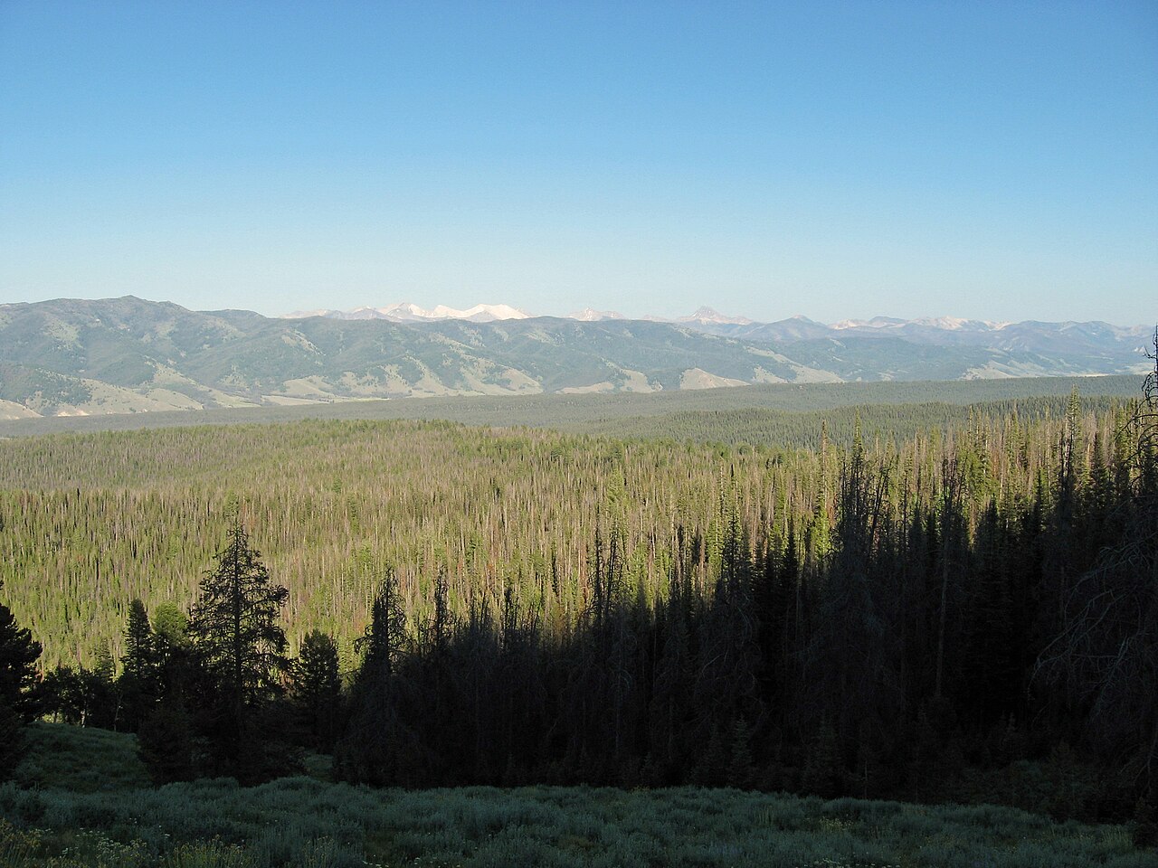 Sawtooth Valley and White Clouds, illustrative activity photo