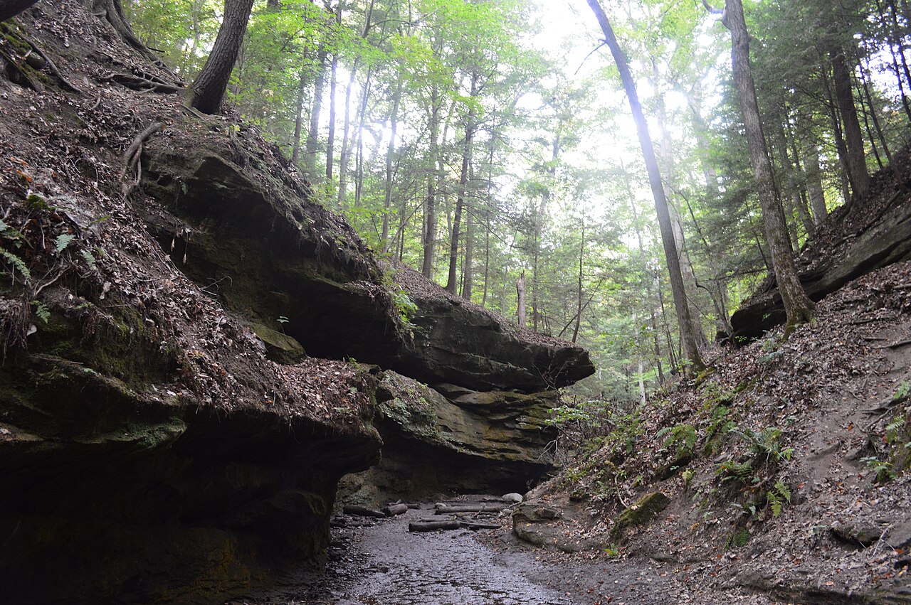 Turkey Run State Park - 124, illustrative activity photo