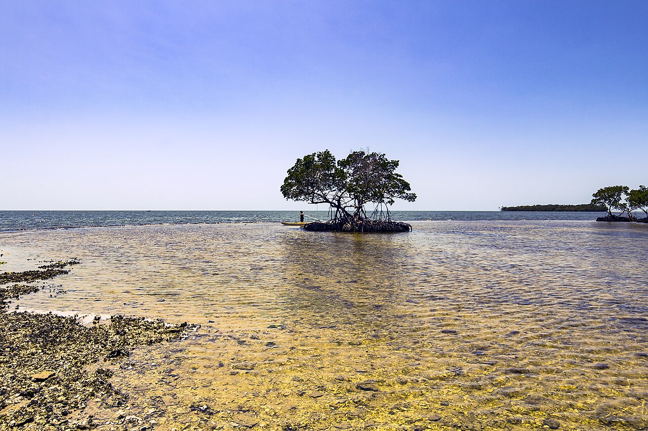 Indian Key Pass Ten Thousand Islands Area — illustrative photo, not partner inventory