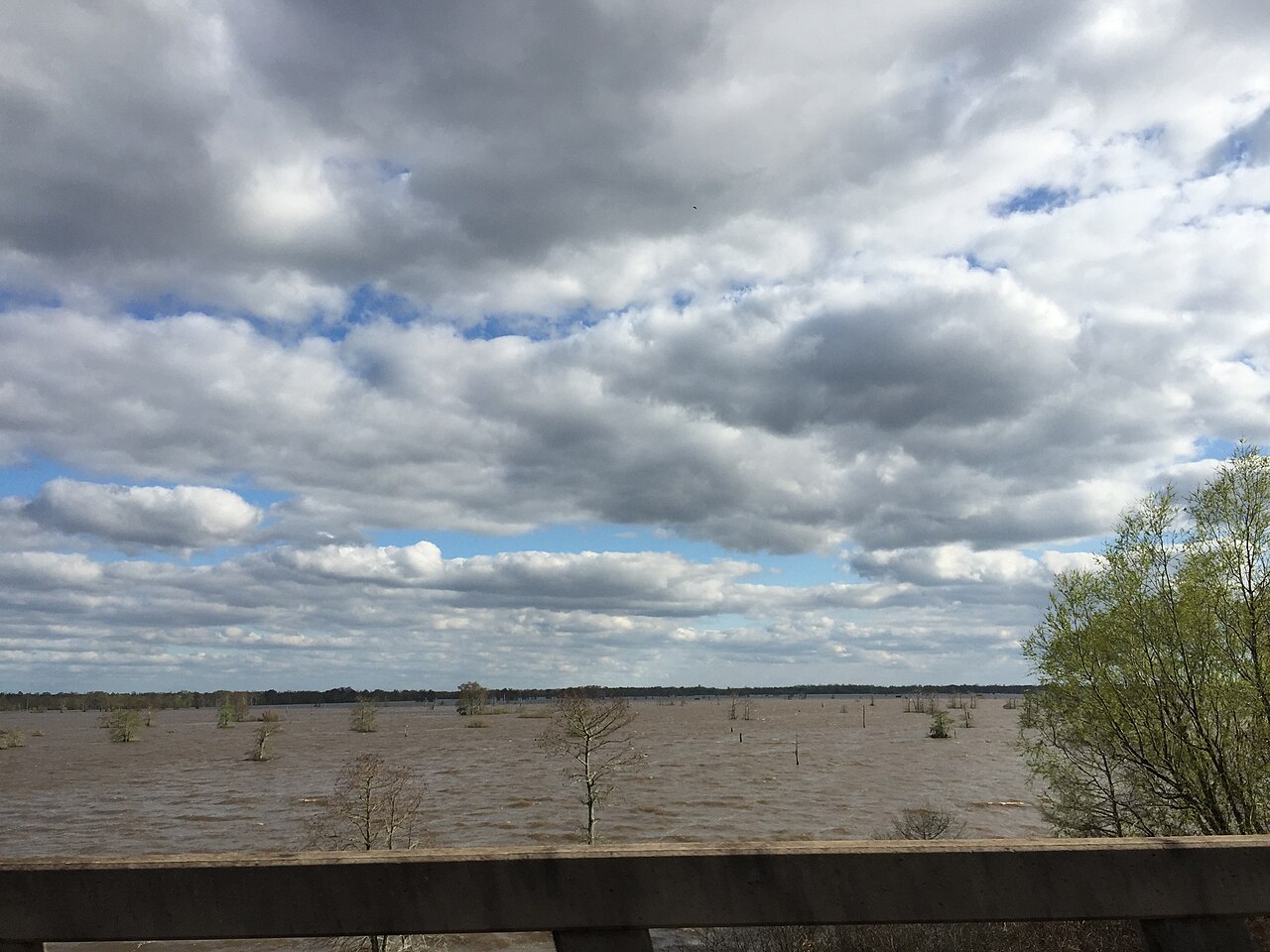 2016-03-22 16 59 06 View south into the Atchafalaya Swamp from Interstate 10 near milepost 120 as it crosses the Atchafalaya Basin Bridge in St. Martin Parish, Louisiana, illustrative activity photo