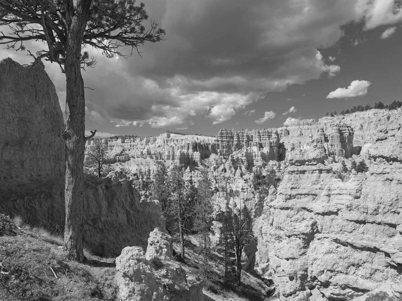 Public Lands Institute - Bryce Canyon National Park - 007, illustrative activity photo