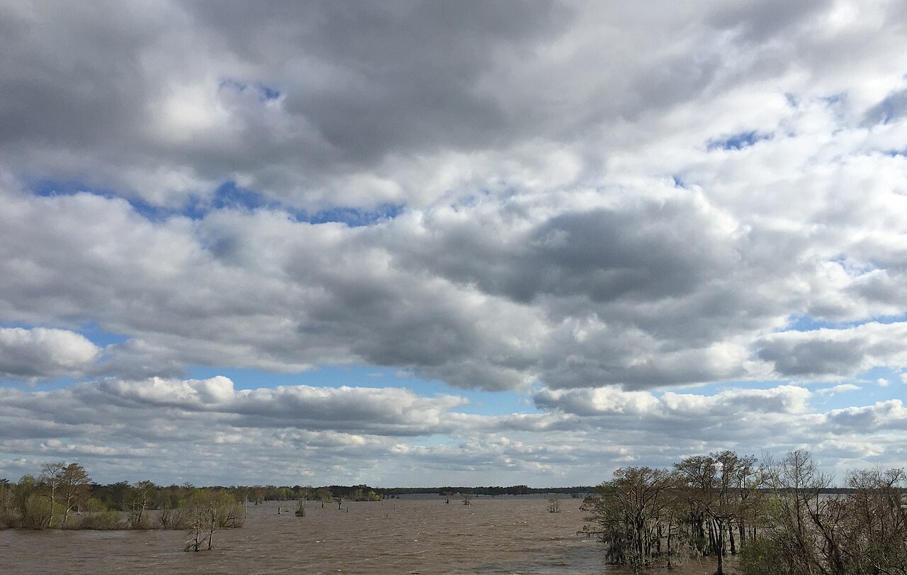 2016-03-22 16 59 22 View south into the Atchafalaya Swamp from Interstate 10 near milepost 120 as it crosses the Atchafalaya Basin Bridge in St. Martin Parish, Louisiana, illustrative activity photo