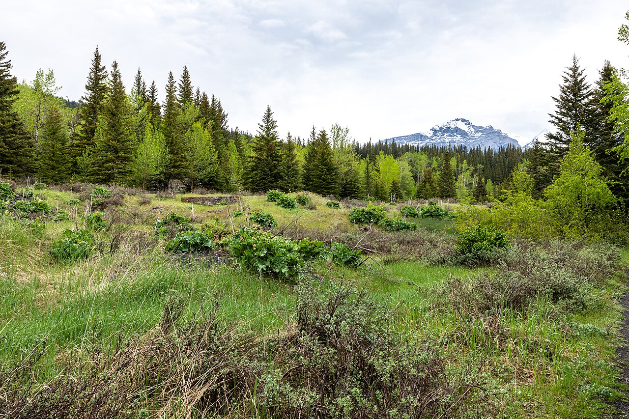Banff National Park (AB, Canada), Bankhead, Lower Bankhead -- 2022 -- 2240, illustrative activity photo