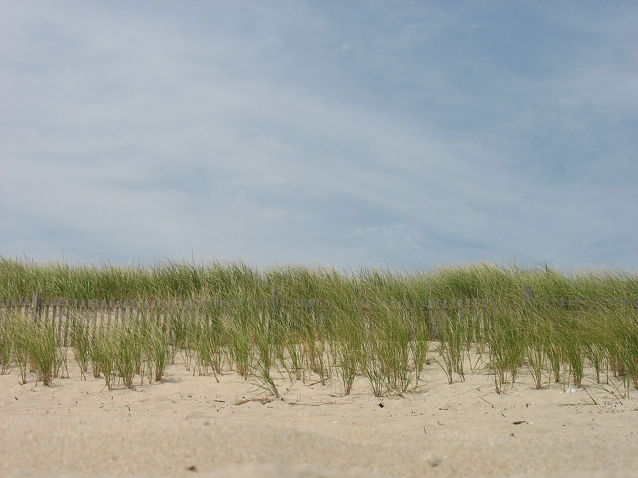 Delaware Beaches State Park, illustrative photo