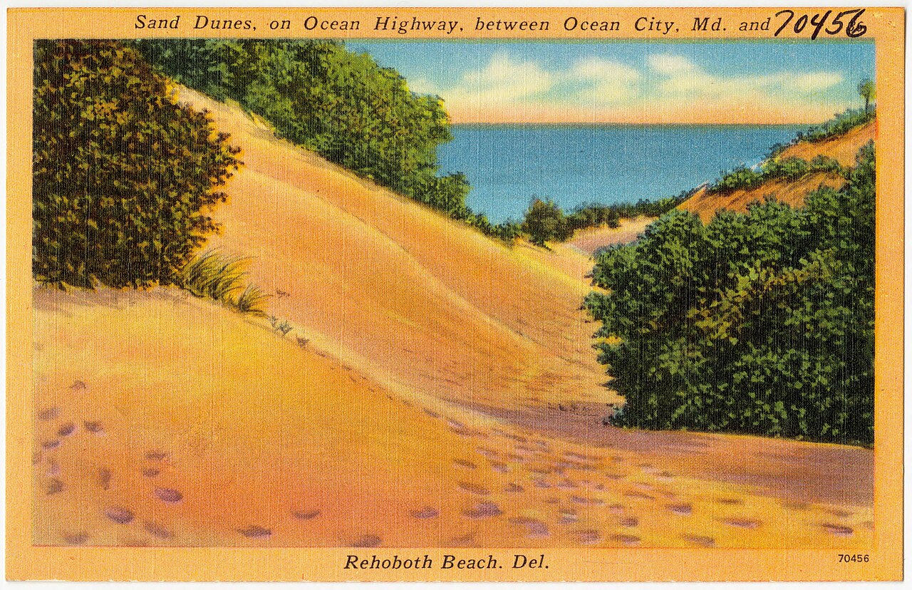 Sand dunes, on Ocean Highway, between Ocean City, Md. and Rehoboth Beach, Del (70456), illustrative activity photo