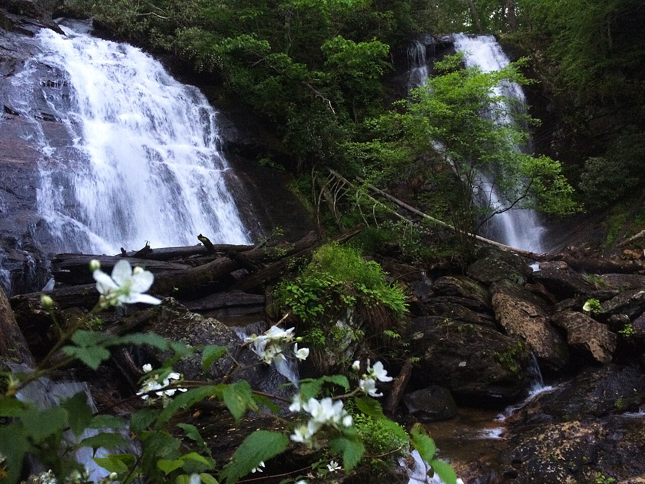 Anna Ruby Falls (17900279605), illustrative activity photo