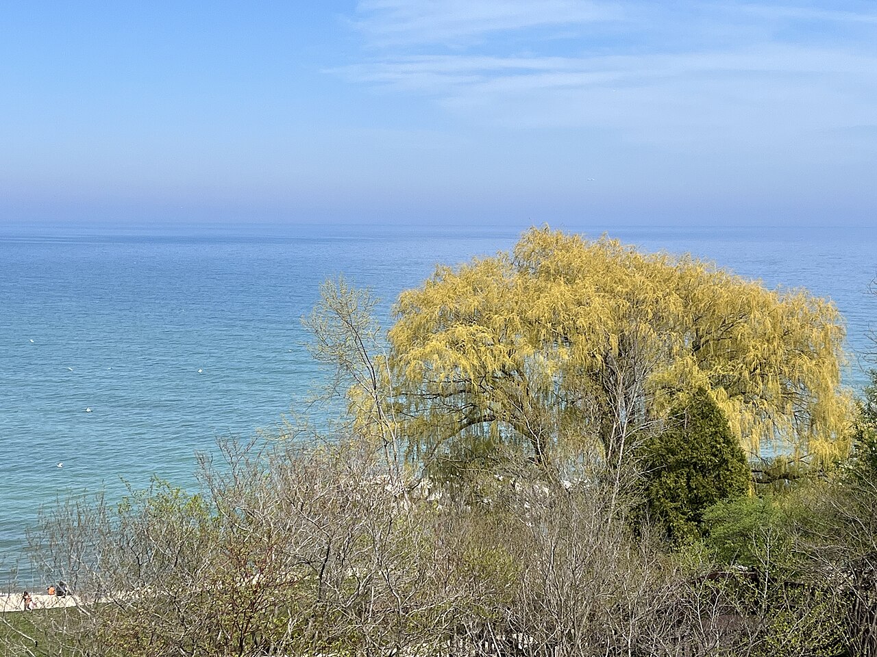 Whitefish Bay, Wisconsin 2023 B, illustrative activity photo