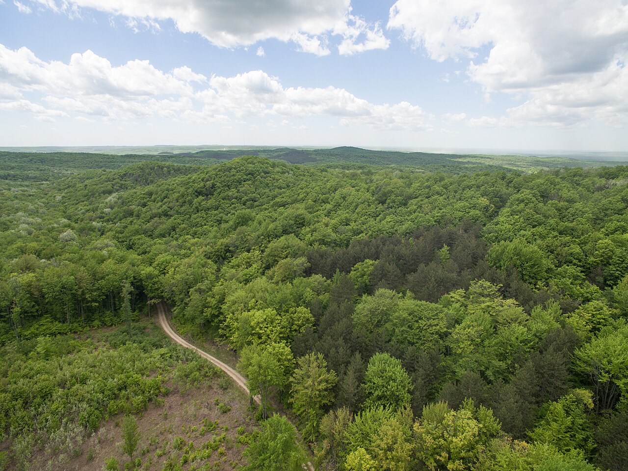 Manistee National Forest Timber, illustrative activity photo