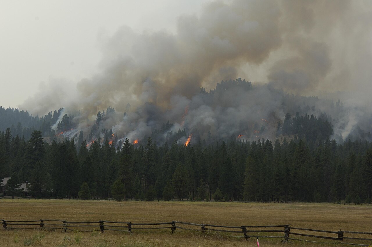 Little Queens Fire Boise National Forest, illustrative activity photo