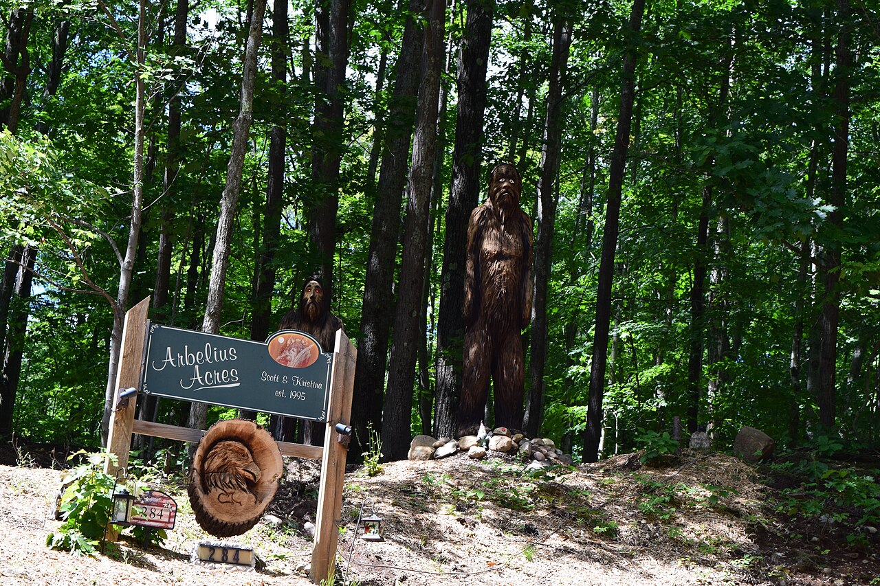 Bigfoot (Upper Peninsula of Michigan), illustrative activity photo
