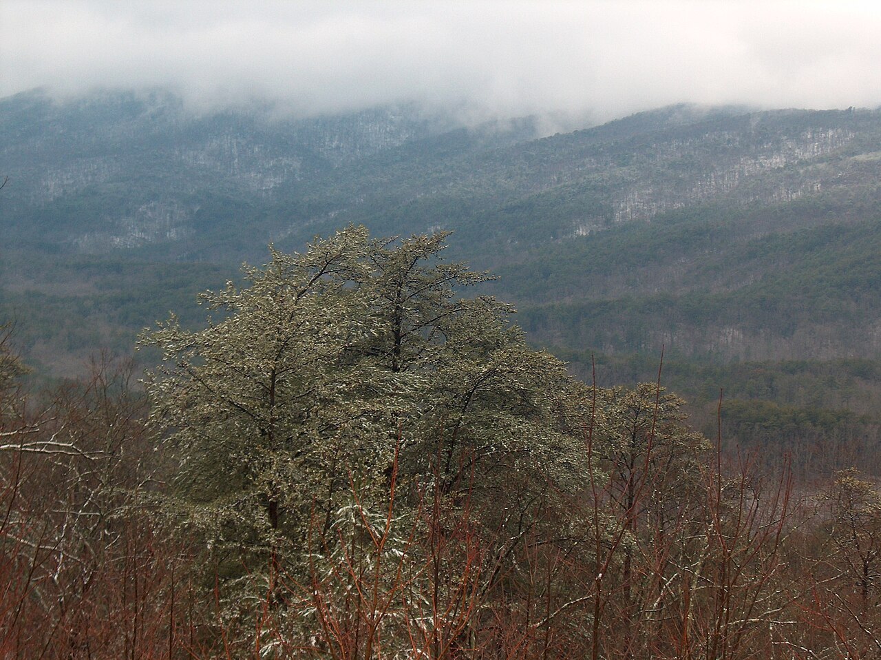 Cheaha in the Snow, illustrative activity photo