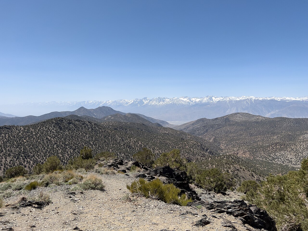 White Mountains Inyo County California 04 30 2022 13, illustrative activity photo