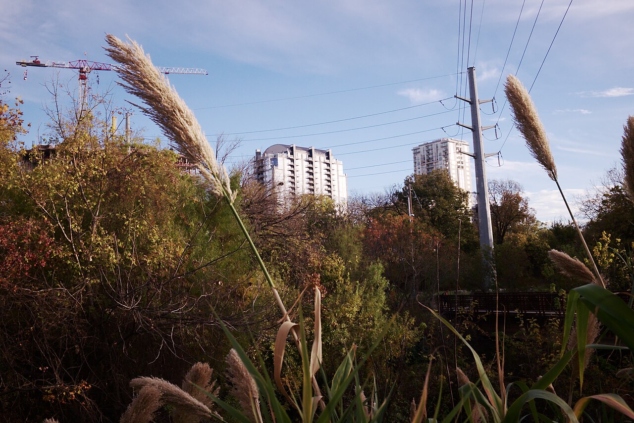 P01 Austin, Texas 37, illustrative activity photo