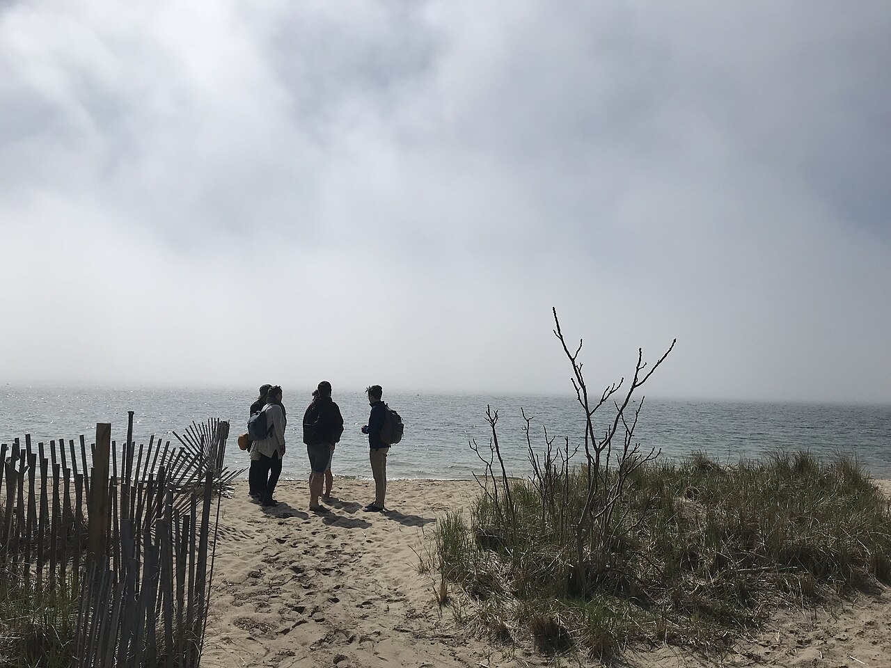 Provincetown beach, illustrative activity photo
