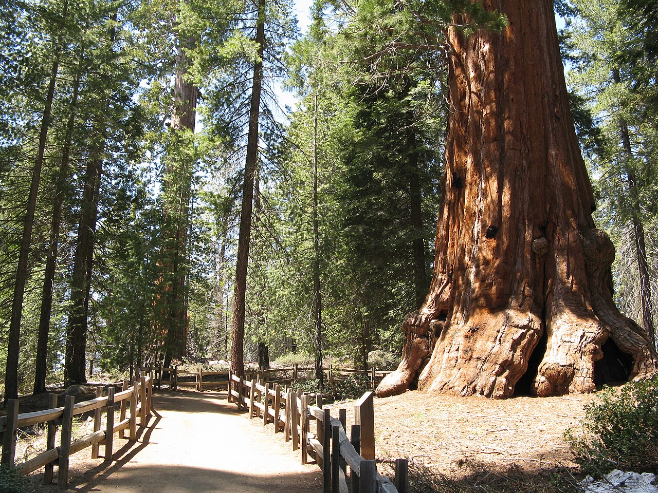 Kings Canyon NP - panoramio, illustrative activity photo
