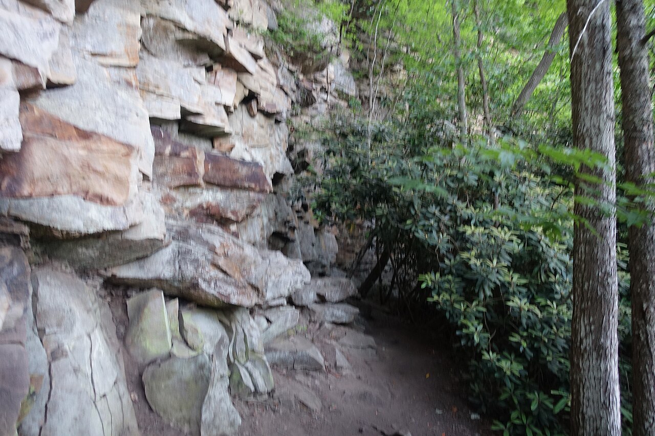 New River Gorge National Park - 53011412125, illustrative photo