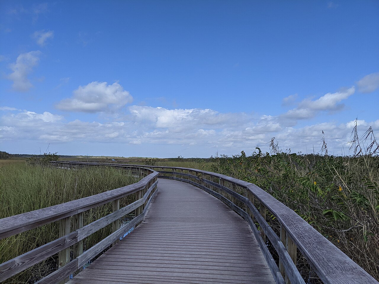 Pathway at the Everglades National Park, illustrative activity photo