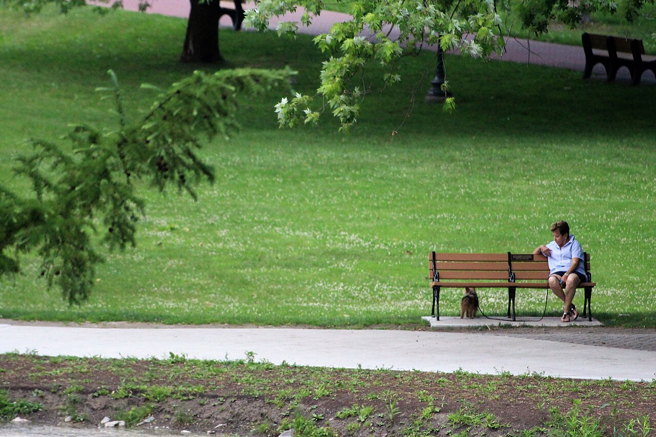 Woman & dog in Congress Park, Saratoga Springs, New York, illustrative activity photo