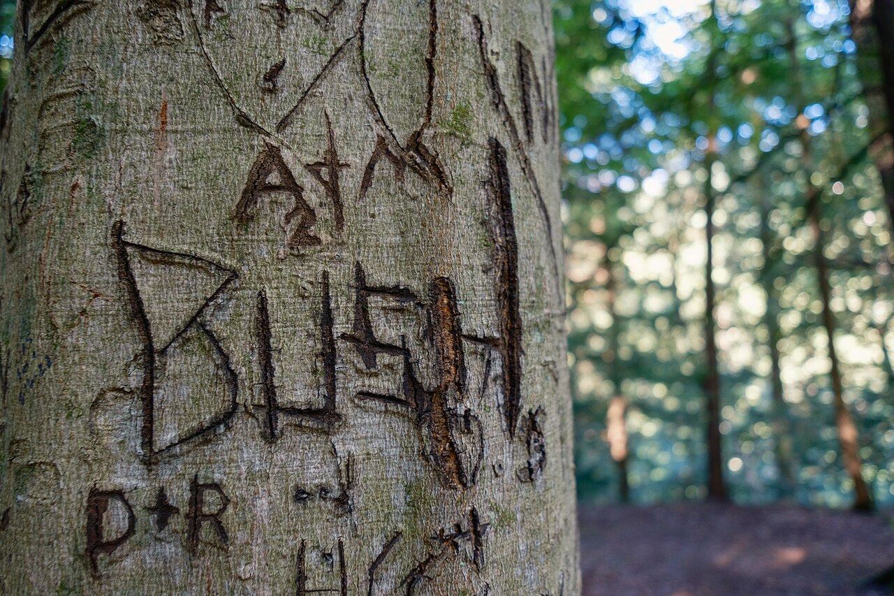 Hocking Hills State Park, July 2024 - 015, illustrative activity photo