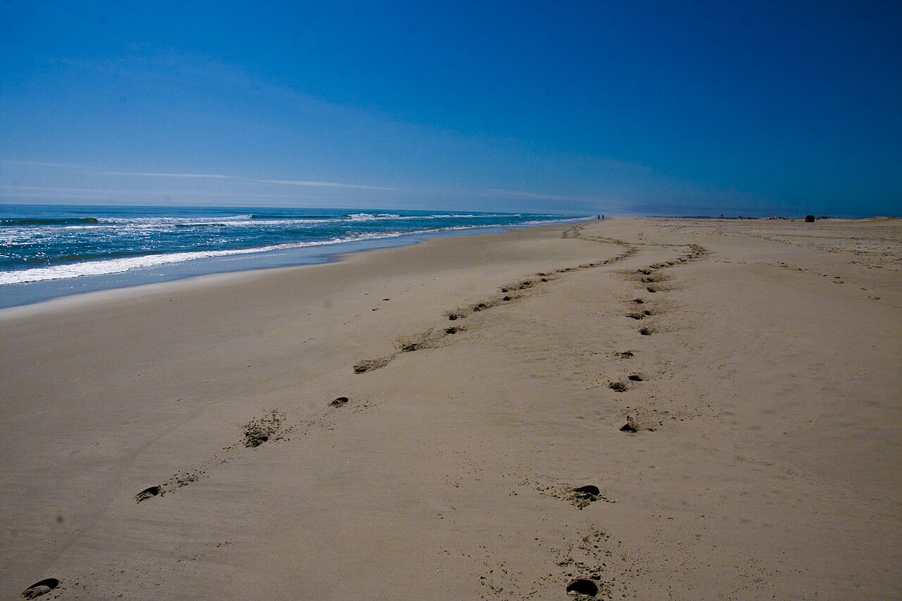 Assateague Island, MD-04 (7001453353), illustrative photo