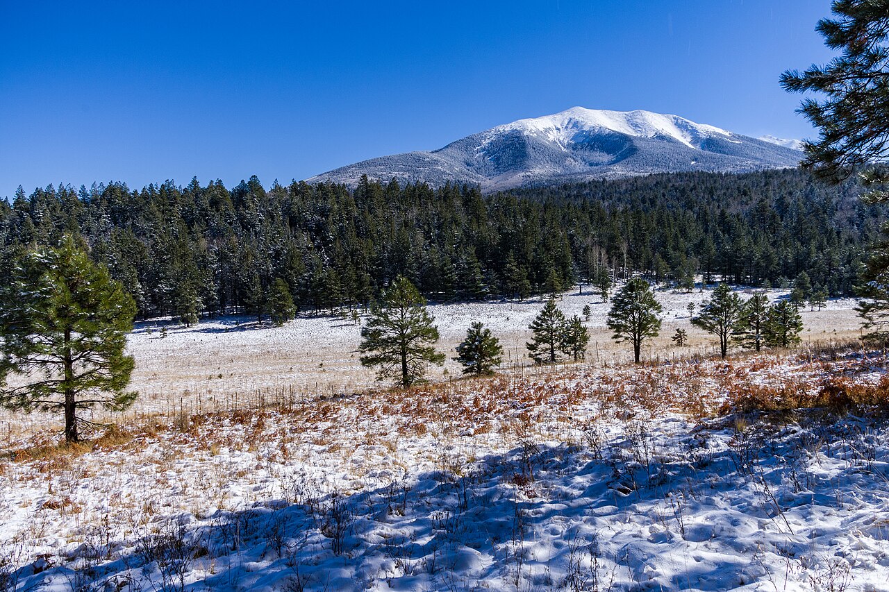 Winter 2016 San Francisco Peaks, illustrative activity photo
