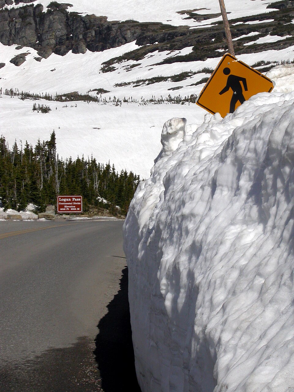 Glacier National Park Early Summer Snow Road 2043, illustrative activity photo
