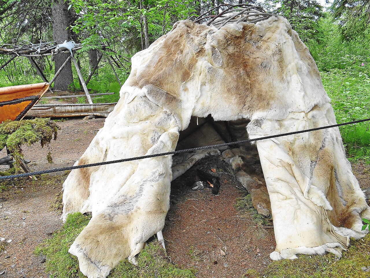 Denali National Park. Alaska, 2016 (175), illustrative activity photo
