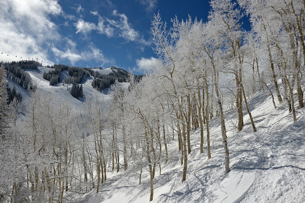 Aspen Mountain ski area aspen trees FIS chair, illustrative activity photo