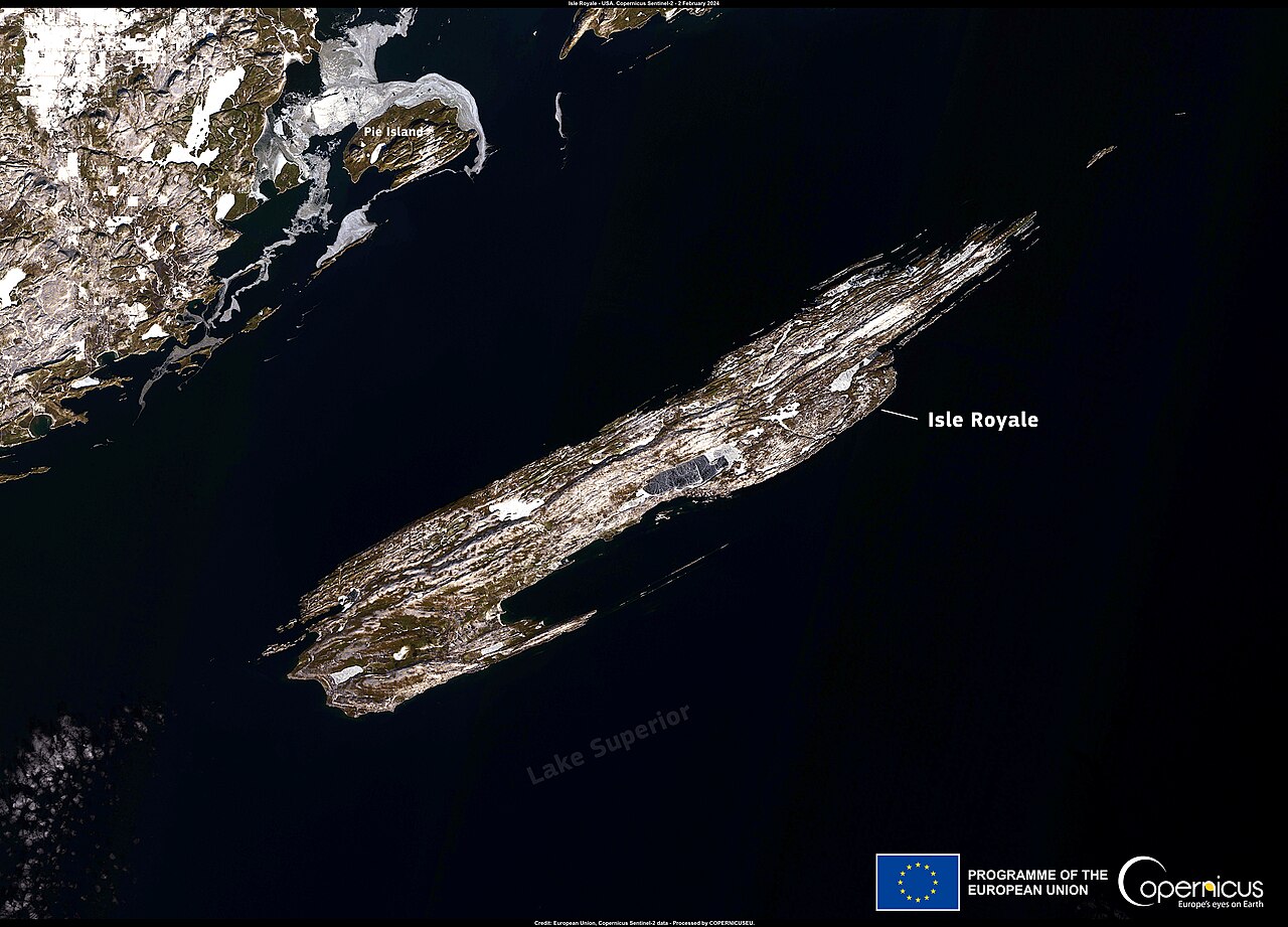 Warm weather prevents annual wolf count on Isle Royale (Copernicus 2024-02-13), illustrative activity photo