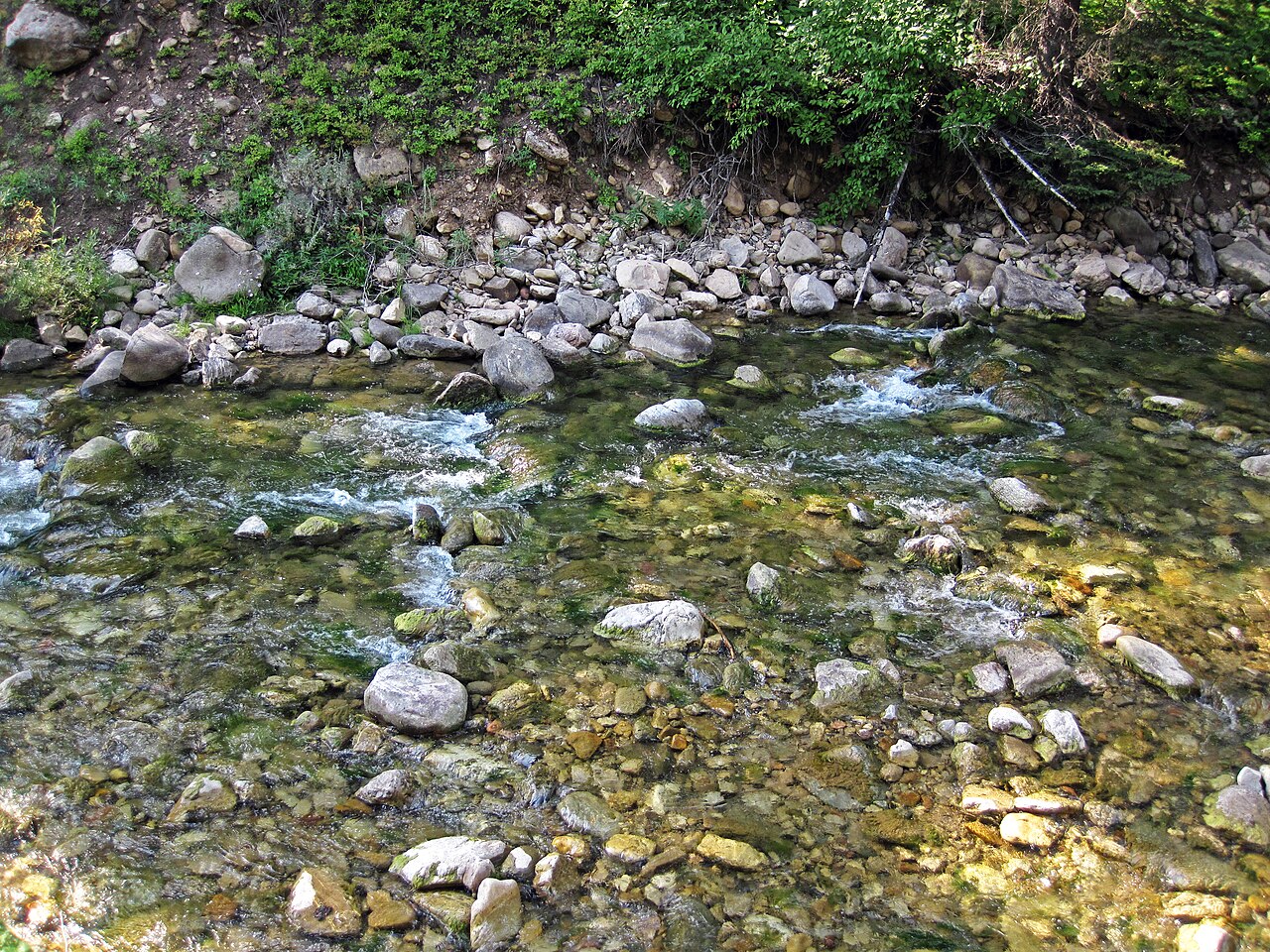 Cabin Creek (Gallatin National Forest, Gallatin County, Montana, USA) 28 (45610047962), illustrative activity photo